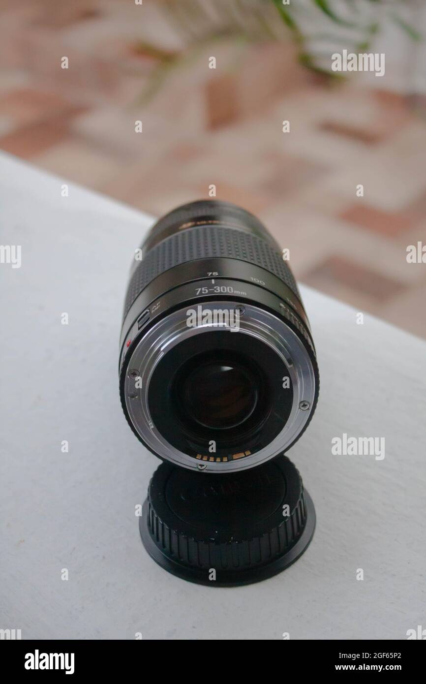 Canon 300mm hi-res stock photography and images - Alamy Canon 300mm hi-res stock photography and images - Alamy