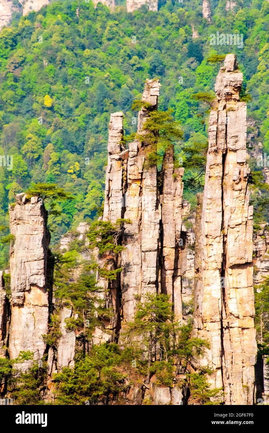 Zhangjiajie National Forest Park in Hunan province China Stock Photo