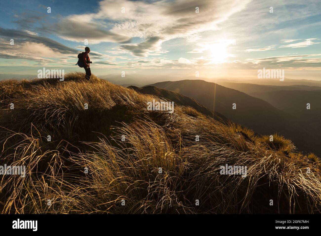 Female hiker standing on a ridge top at sunset, Southern Crossing, Tararua Forest Park Stock Photo