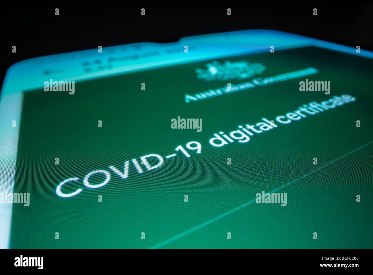 Melbourne, Australia - Aug 24, 2021: Close-up view of Australian COVID 19 digital certificate on a smartphone Stock Photo