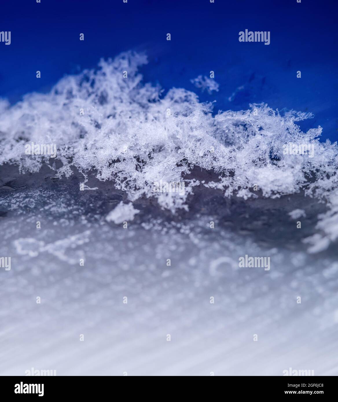 Snow on a large scale. Snowflakes on a blue background. Snow background. Stock Photo