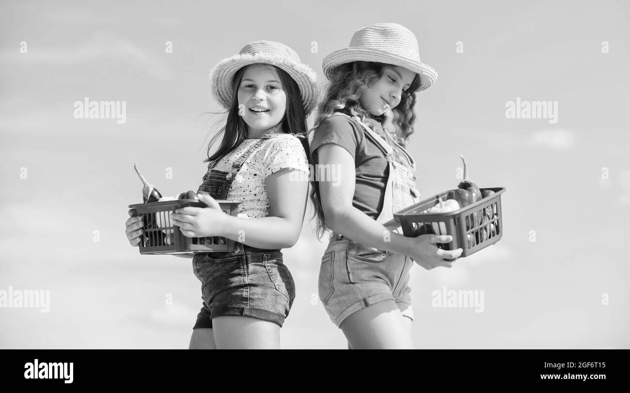 In harmony with nature. small girls vegetable in basket. Only natural ...