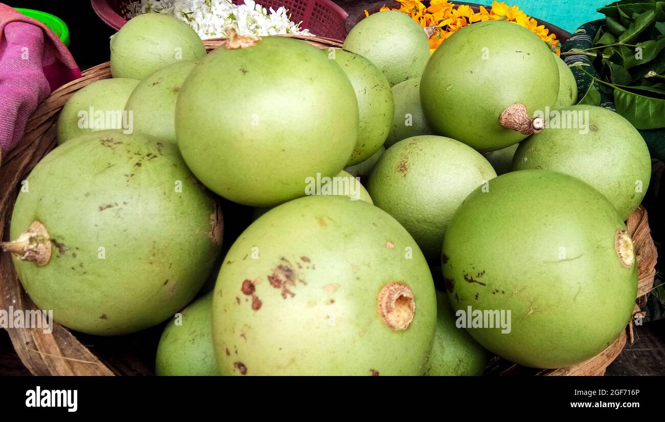 Heaps of green wood apple (belugiri) fruit to sell in the market in lucknow Stock Photo