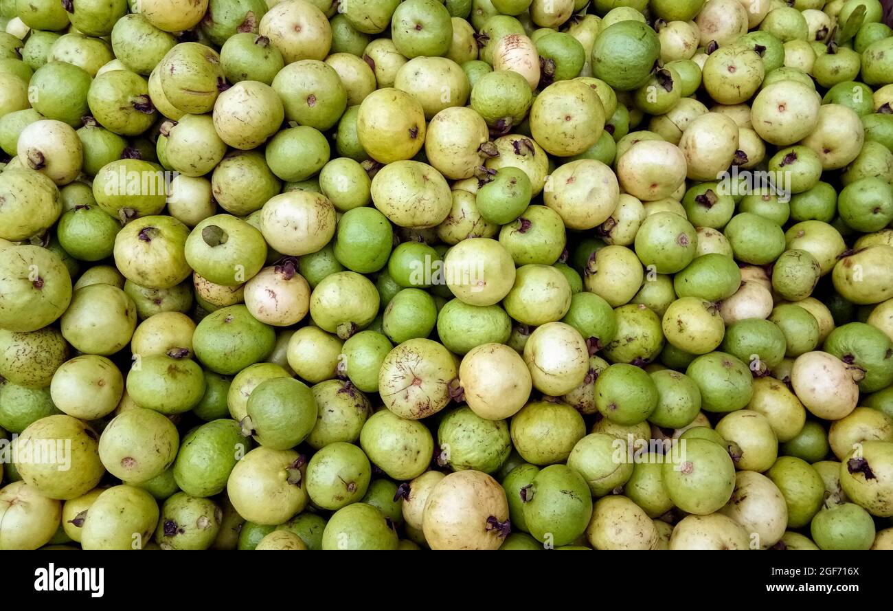 Some Guava Guava fruits hi-res stock photography and images - Alamy