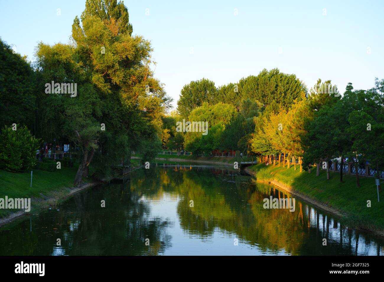 Trees and Green Riverside at a sunny summer day Stock Photo
