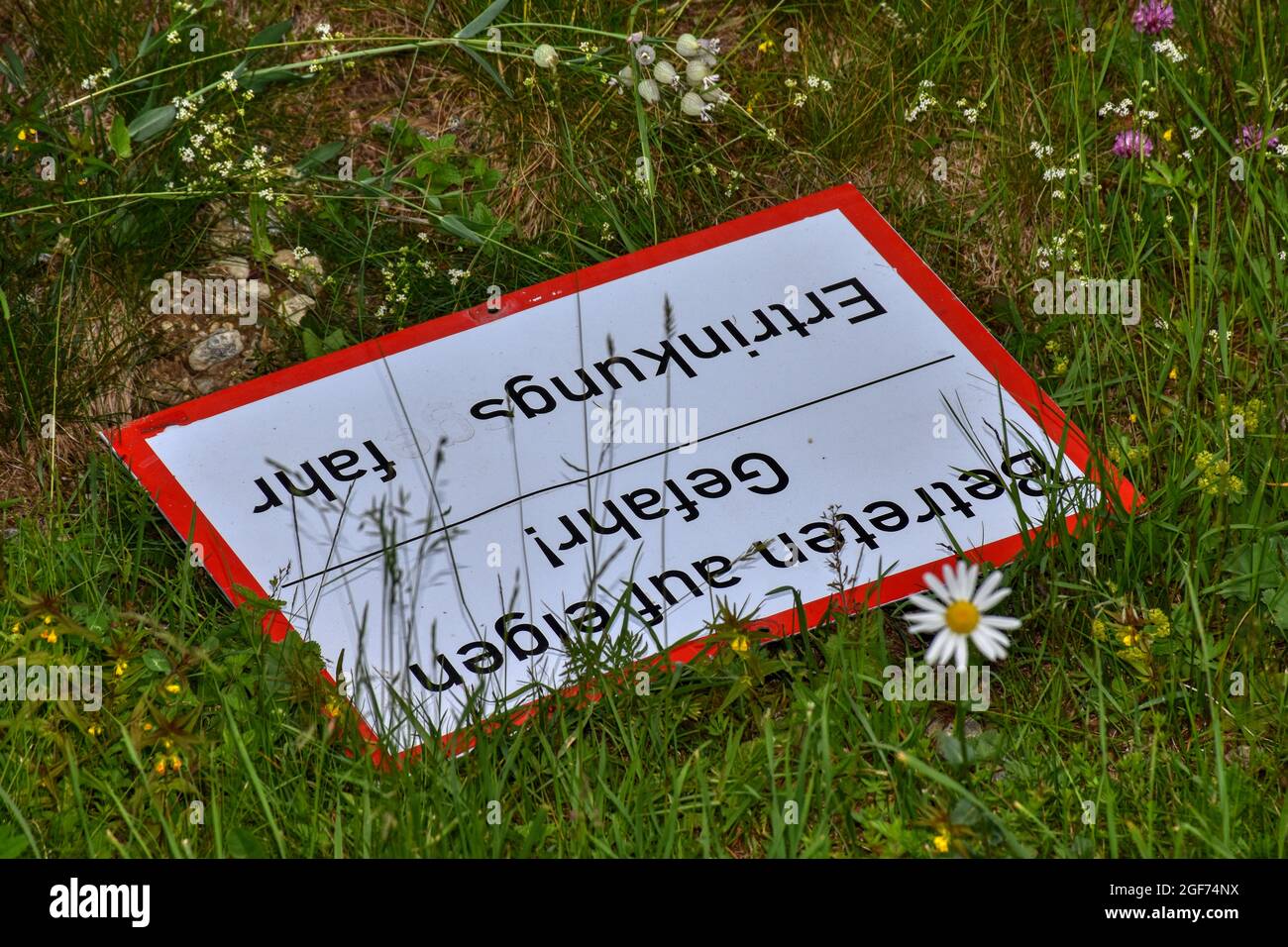 NEOKLASSISCHER BUCHSTABEN \, image size:1300x956