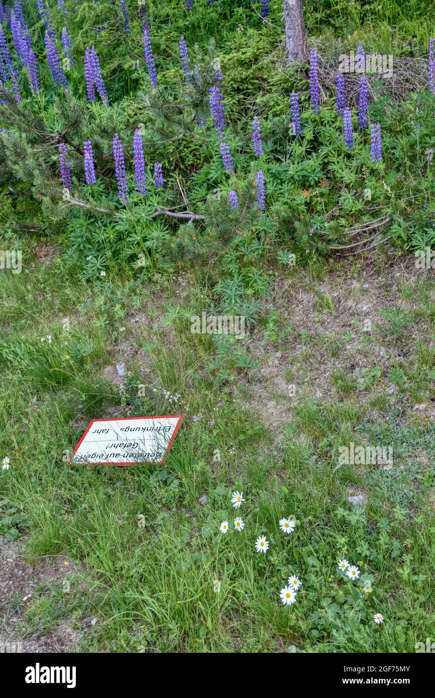 Schild, Tafel, Gefahr, Hinweis, rechteckig, abgerissen, Wiese, Buchstaben, unvollständig, verwittert, Rand, Rahmen, rot, Ertrinken, Ertrinkungsgefahr, Stock Photo