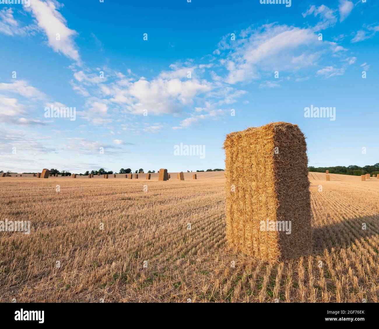 standing straw bales in field under blue sky Stock Photo - Alamy