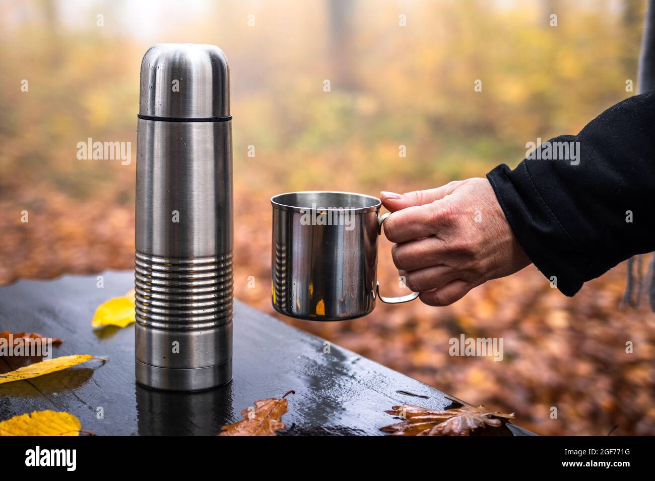 https://c8.alamy.com/comp/2GF771G/woman-holding-metal-cup-thermos-with-hot-drink-on-table-refreshment-during-hike-in-autumn-woodland-2GF771G.jpg