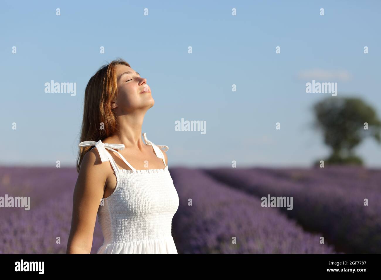 Happy woman wearing white dress breathing fresh air in lavender field ...