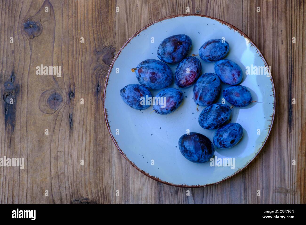 Plum (Prunus domestica), damson, on a plate, Upper Bavaria, Germany Stock Photo