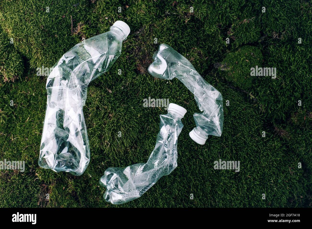 Plastic water bottles pollution in the forest. Environmental pollution