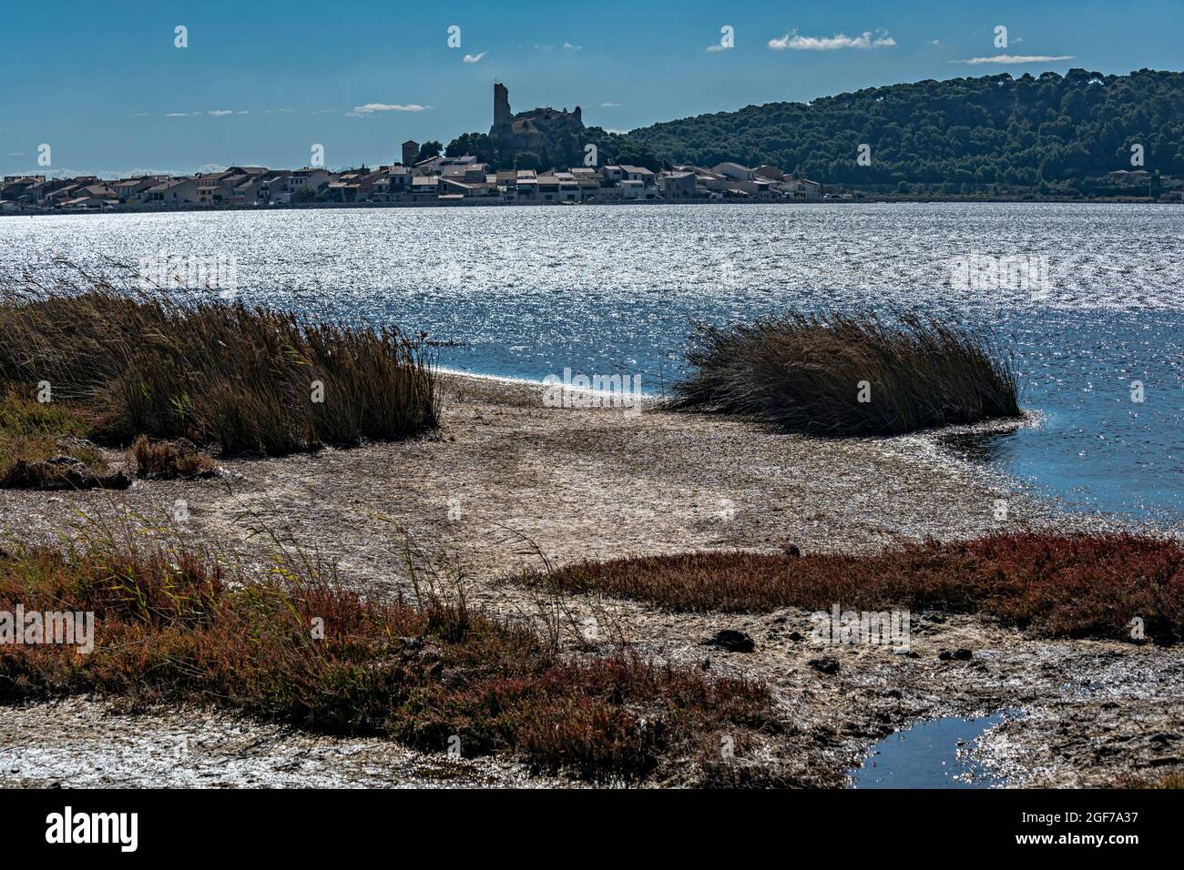 Narbonnaise en mediterranee natural regional park hires stock photography and images Alamy Narbonnaise en mediterranee natural regional park hires stock photography and images Alamy