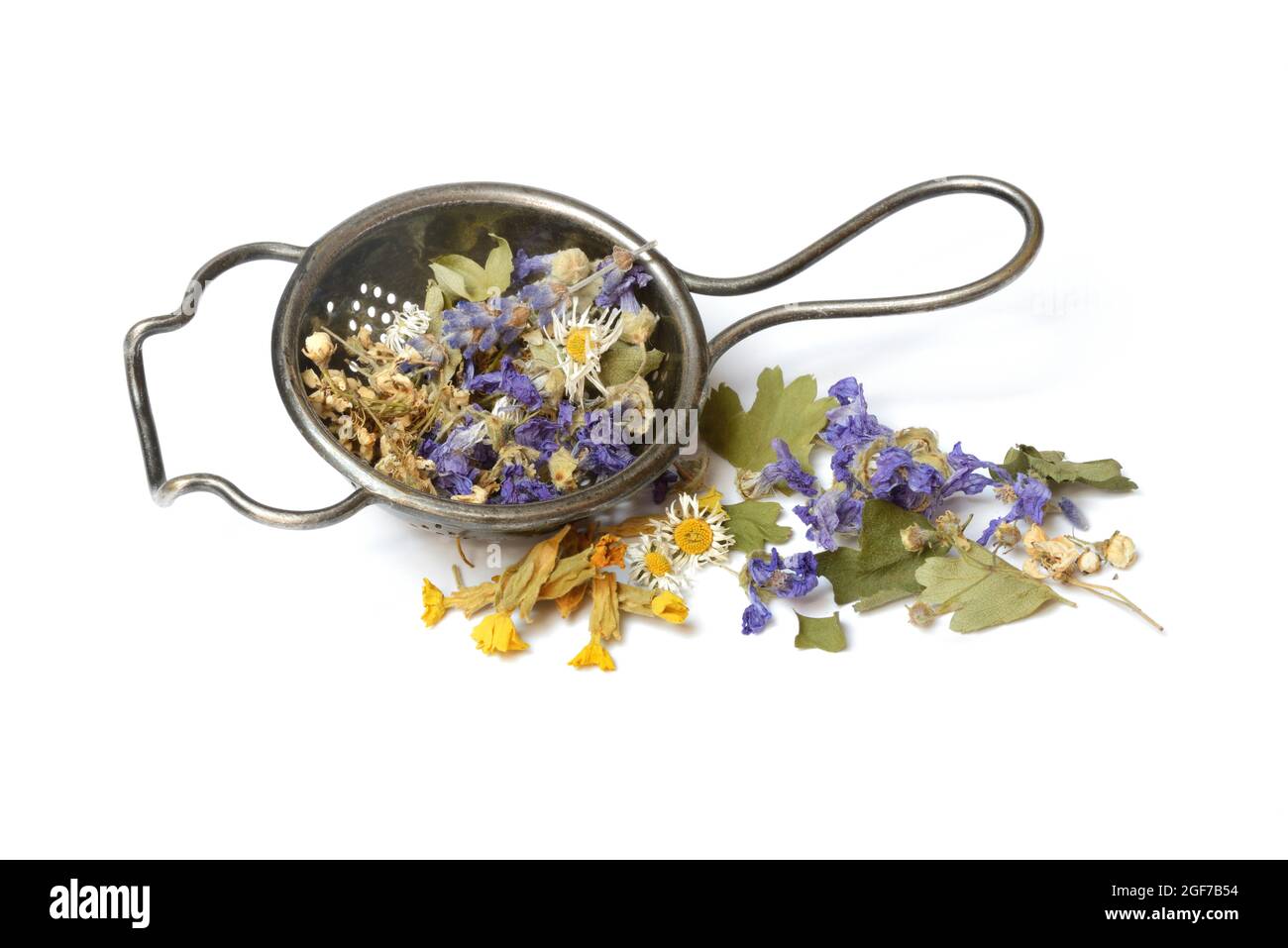 Herbal tea blend in tea strainer, Germany Stock Photo Alamy