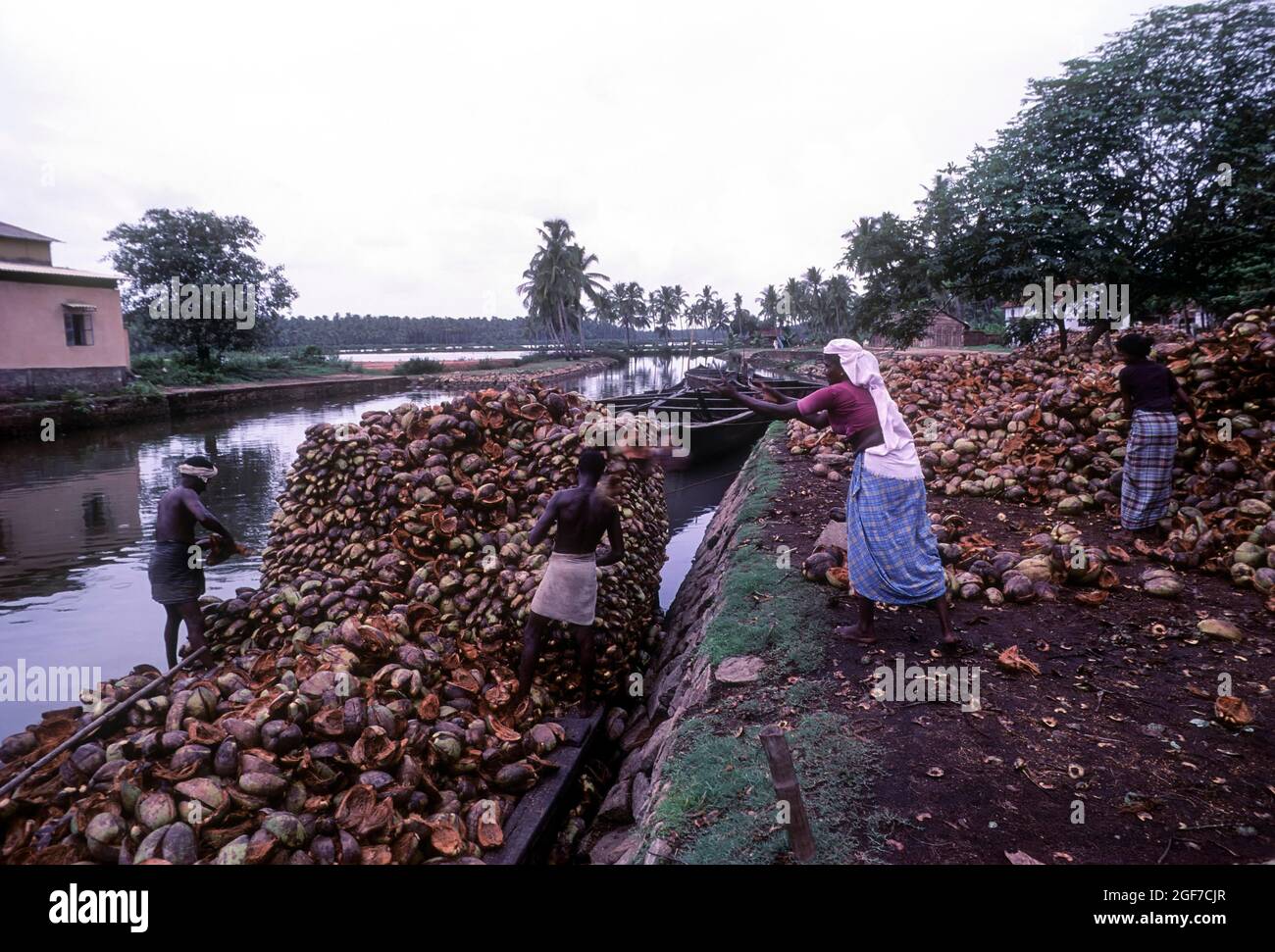 Coconut husk being loaded in the Boat, Kuttanad, Kerala, India Stock Photo