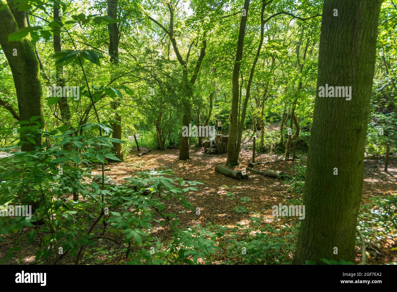 Runcorn Hill park childrens play area in a shady woodland setting. Stock Photo