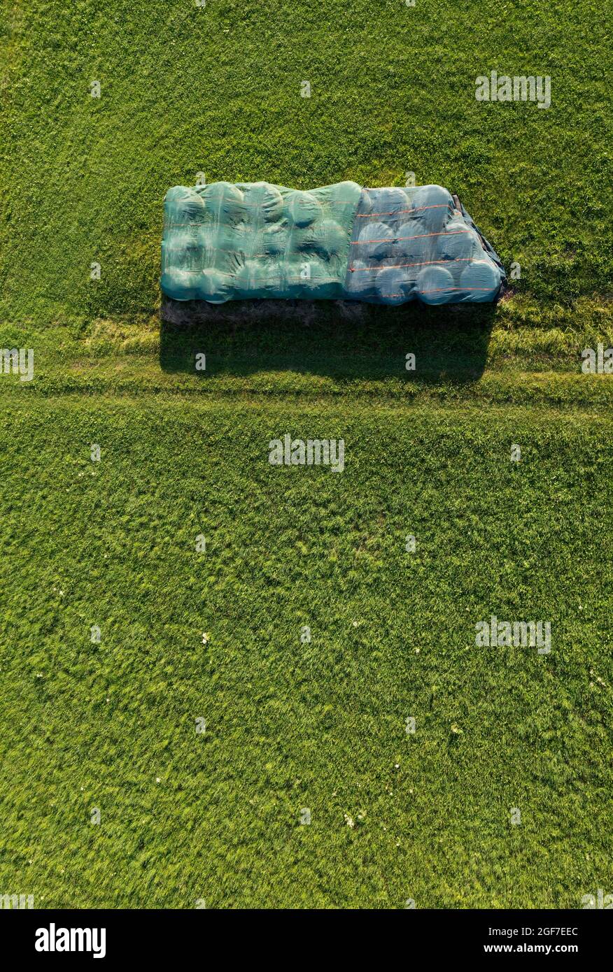 Drone image, Straw bales wrapped in plastic lie in the meadow, agricultural landscape, Mondseeland, Salzkammergut, Upper Austria, Austria Stock Photo