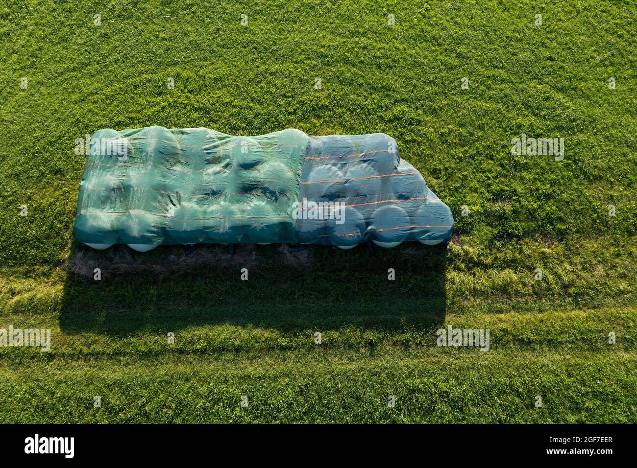 Drone image, Straw bales wrapped in plastic lie in the meadow, agricultural landscape, Mondseeland, Salzkammergut, Upper Austria, Austria Stock Photo