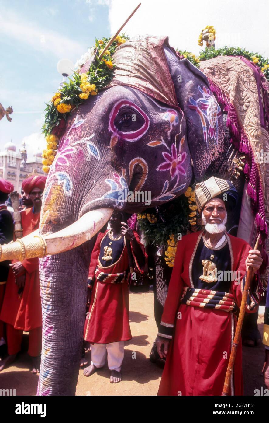 Caparisoned elephant, Dussera dusera festival at Mysuru; Mysore, Karnataka, India Stock Photo