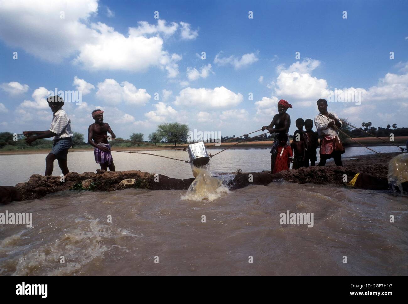 India agriculture irrigation hi-res stock photography and images - Alamy