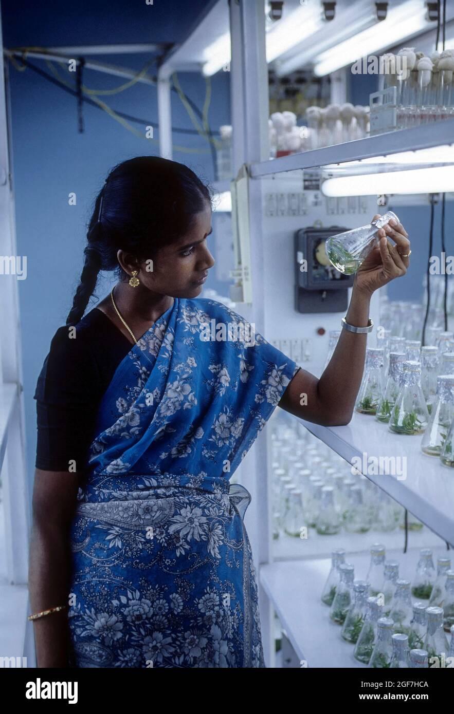 Bio technology, examinining tissue culture flask, Coimbatore, Tamil