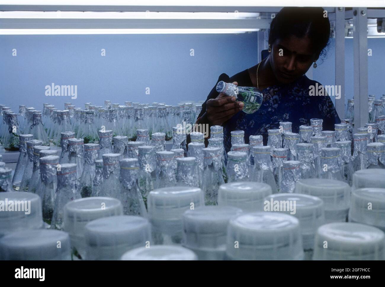 Bio technology, examinining tissue culture flask, Coimbatore, Tamil