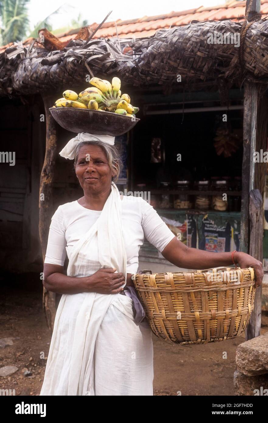 An old woman holding banana on her head and selling at Anaikatty near Coimbatore, Tamil Nadu, India Stock Photo