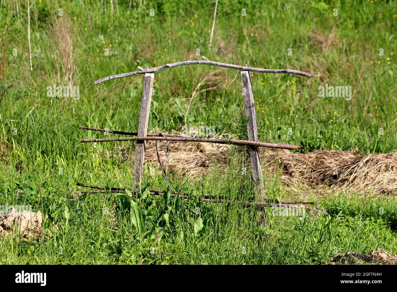 Abandoned urban home garden homemade makeshift small old wooden support frame made of dry wooden boards and sticks used as support for planted trees Stock Photo