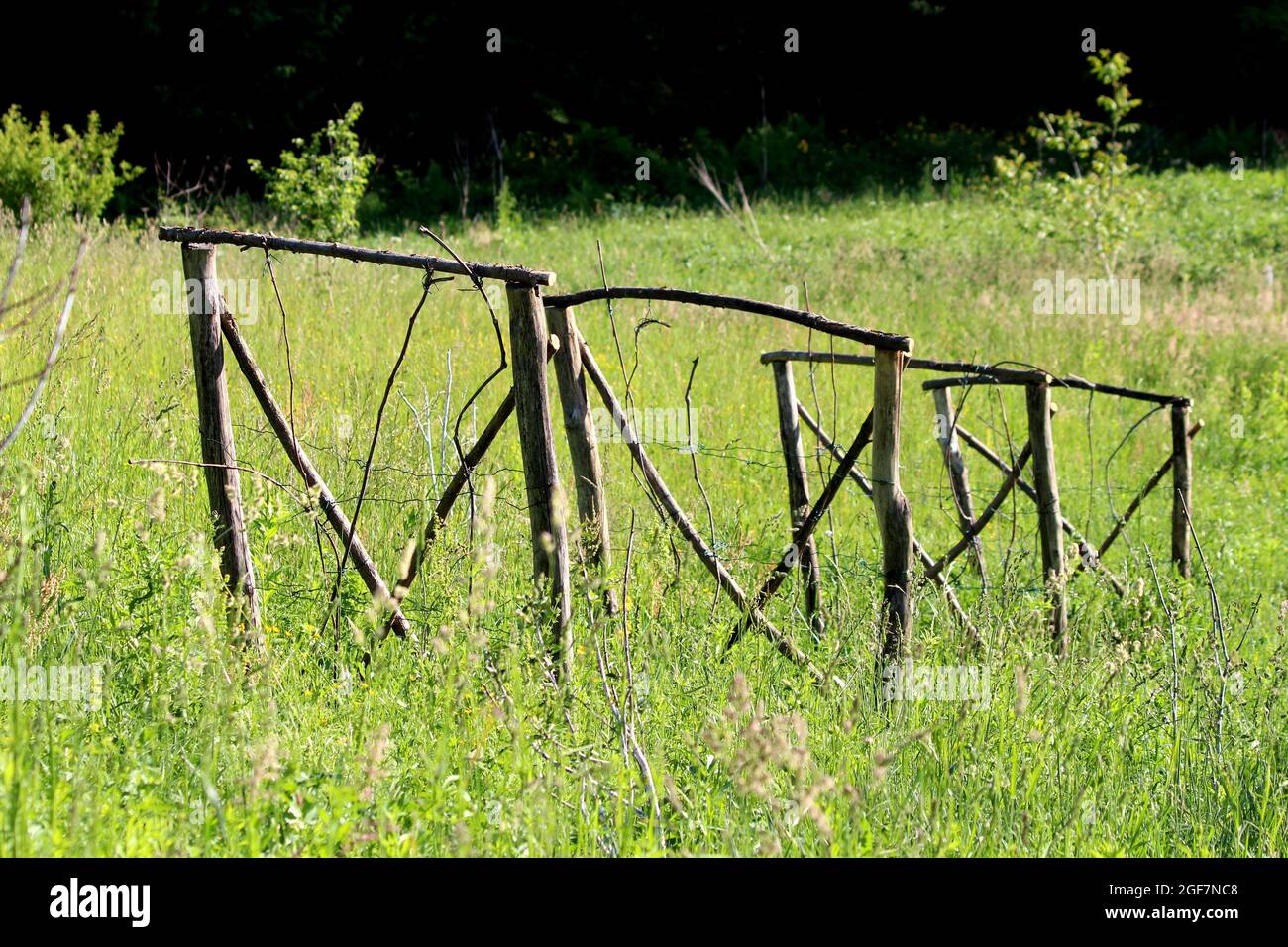 Row of homemade makeshift small old wooden support frames made of dry ...