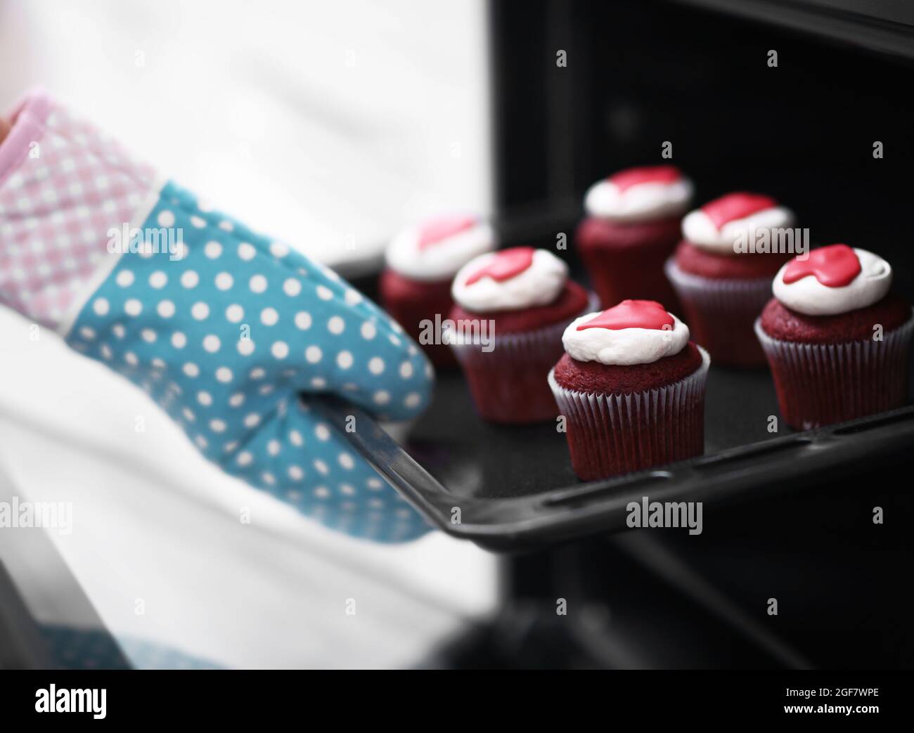 Woman baking cupcakes in the oven Stock Photo Alamy