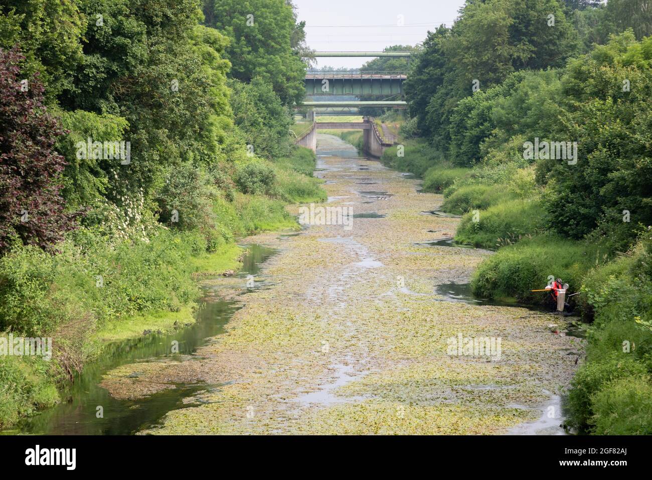 Renaturalized Emscher river in Dortmund, Germany Stock Photo