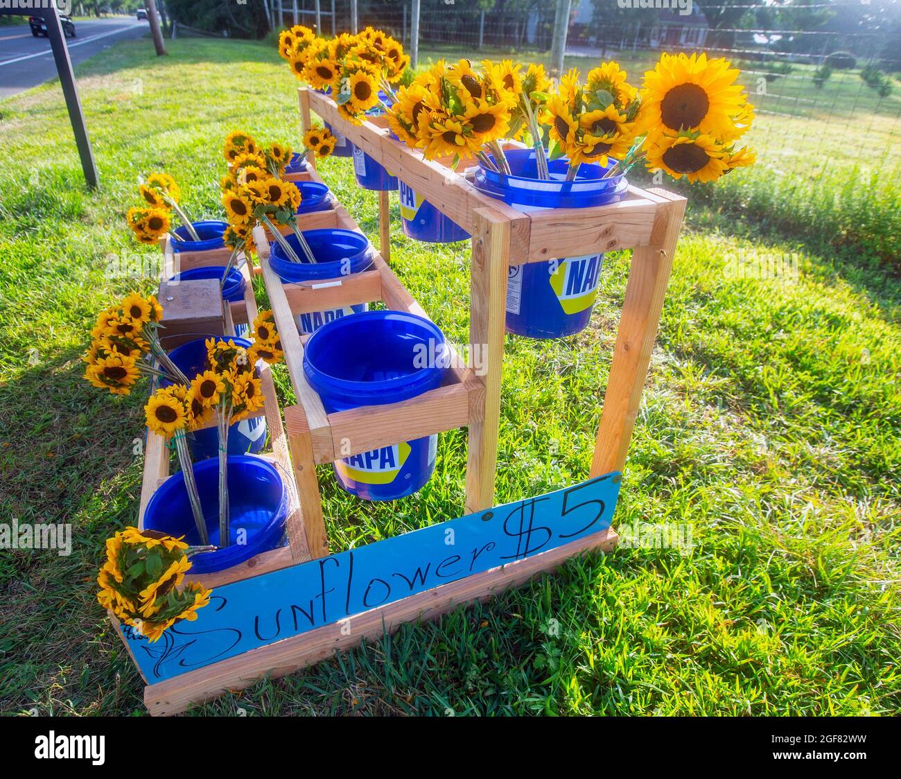 Sunflowers for sale at a farm stand in Greenport, New York Stock Photo