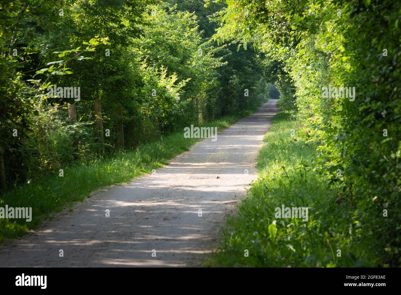 Walking path along Emscher river, area of the Ruhr, Germany Stock Photo