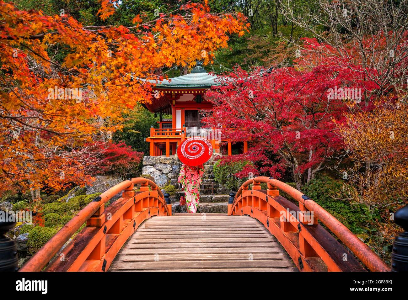 Young women wearing traditional Japanese Yukata at Daigo-ji temple with colorful red maple trees in autumn Stock Photo