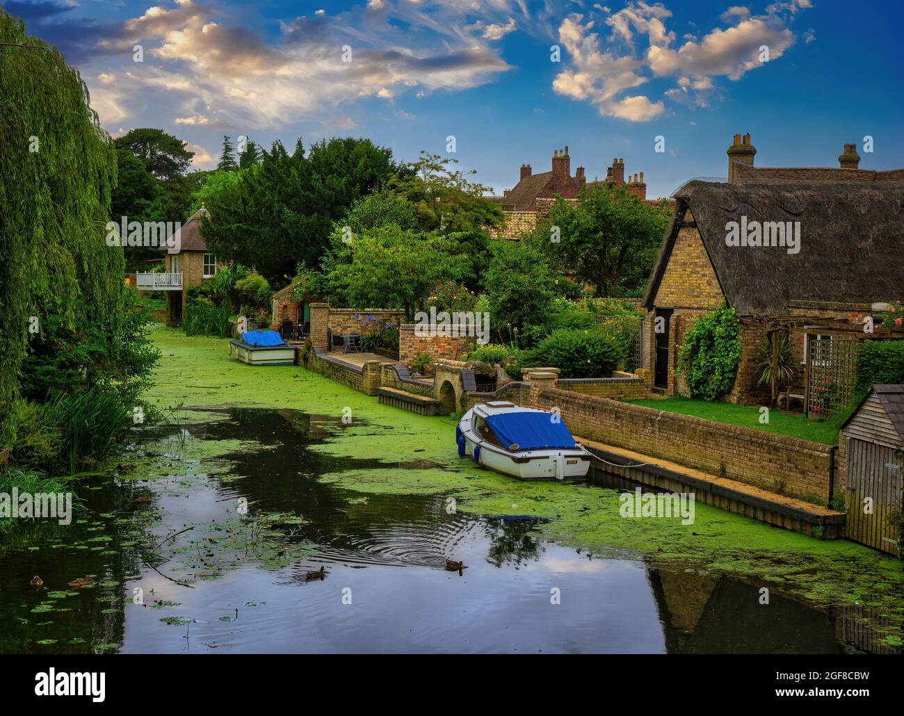 Beautiful cottages bordering the River Great Ouse in Godmanchester. Taken from the Chinese Bridge, which connects the popular Watermeadows to the town Stock Photo