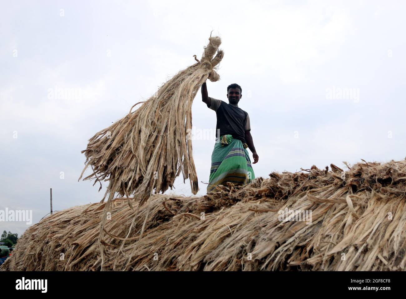 Jute production in bangladesh hi-res stock photography and images - Alamy