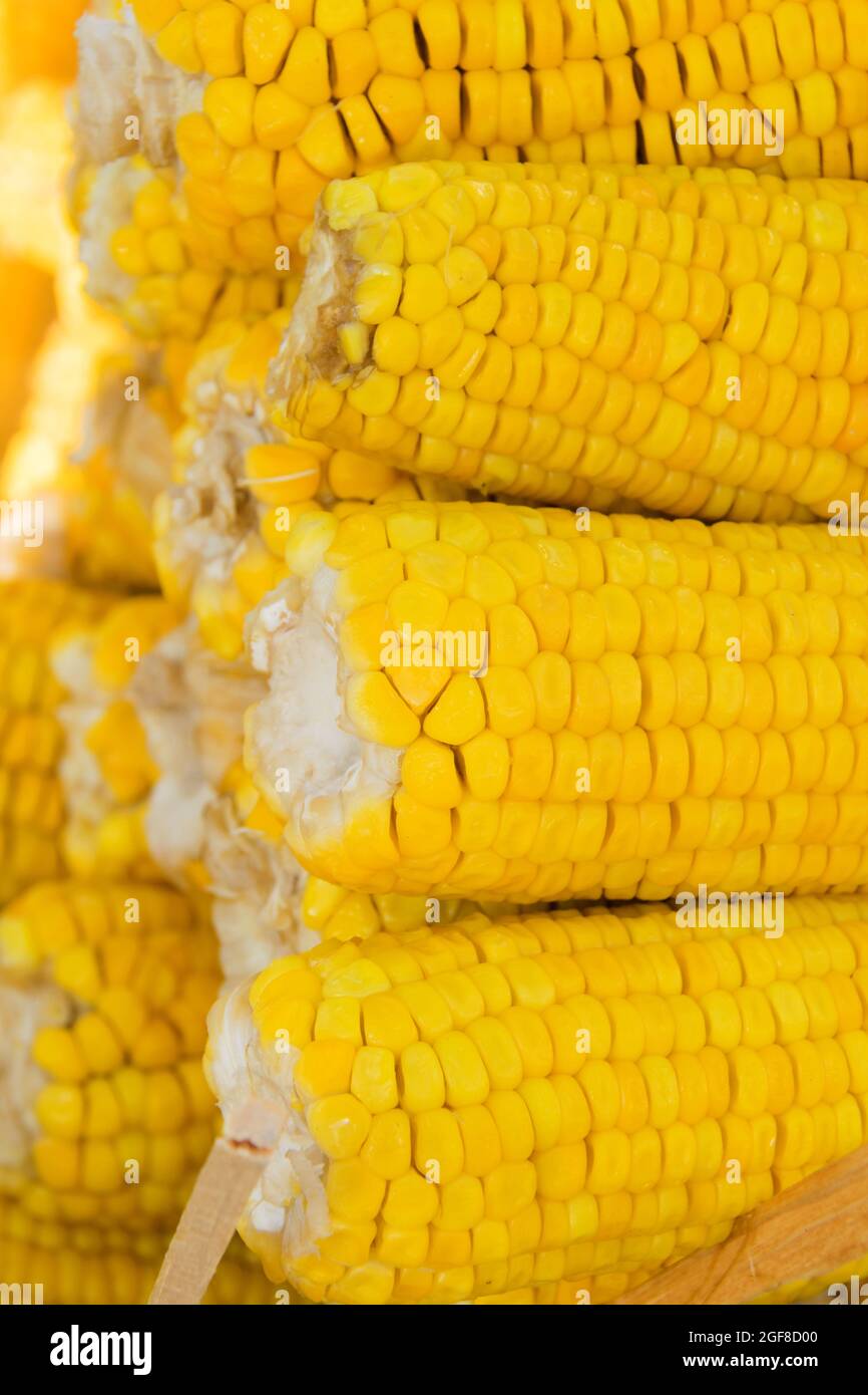 Baked corn called elotes in Guatemala. Zea mays Stock Photo Alamy