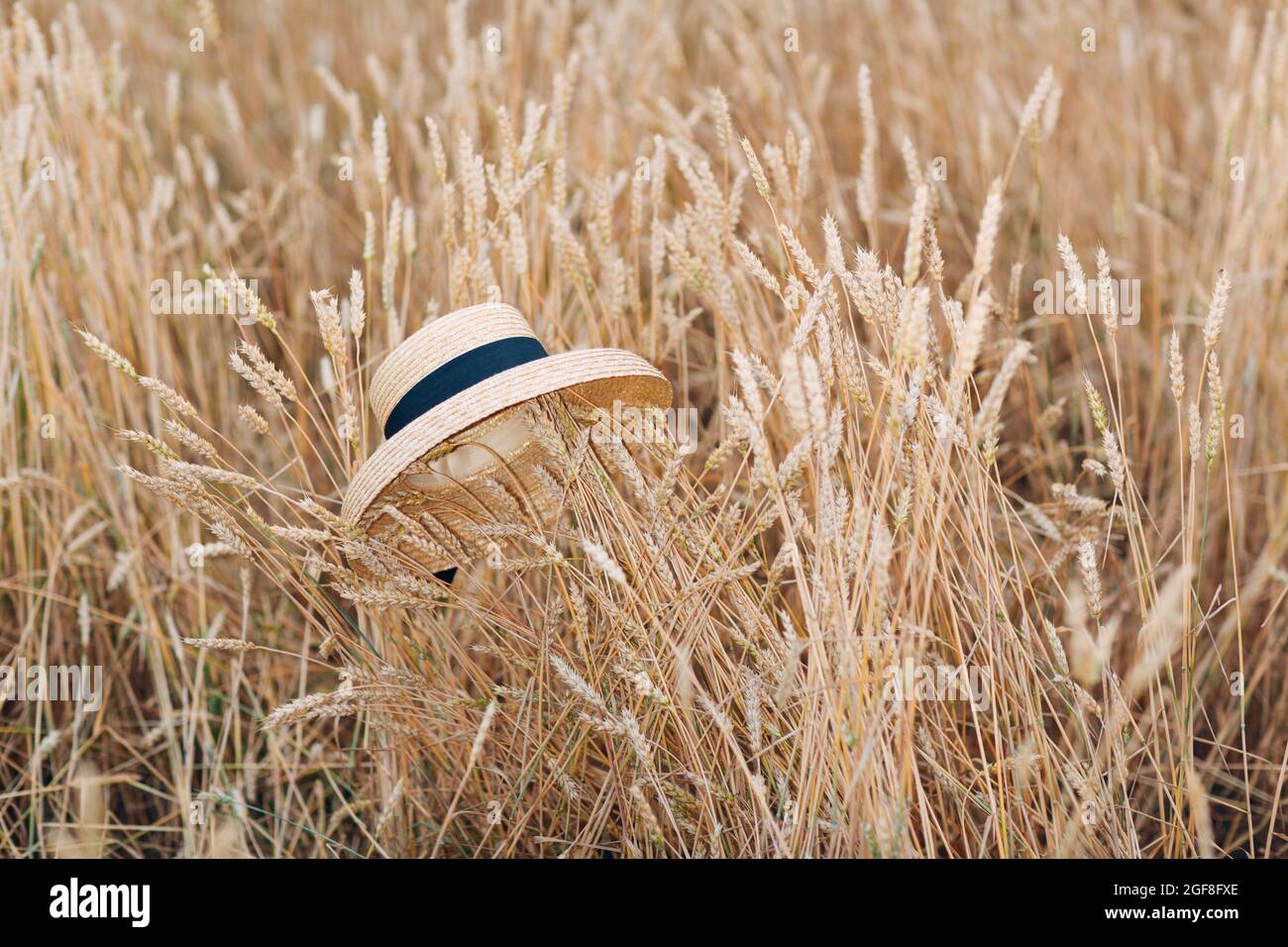 Straw hat in ears of wheat field Stock Photo