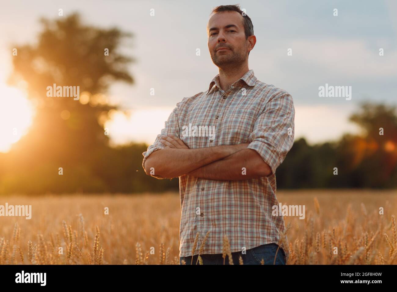Businessman Standing Grain Field High Resolution Stock Photography and ...