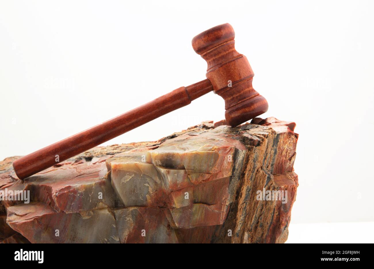 Gavel placed on petrified wood rock reflects both lasting nature and hard challenges of judicial decisions. Stock Photo