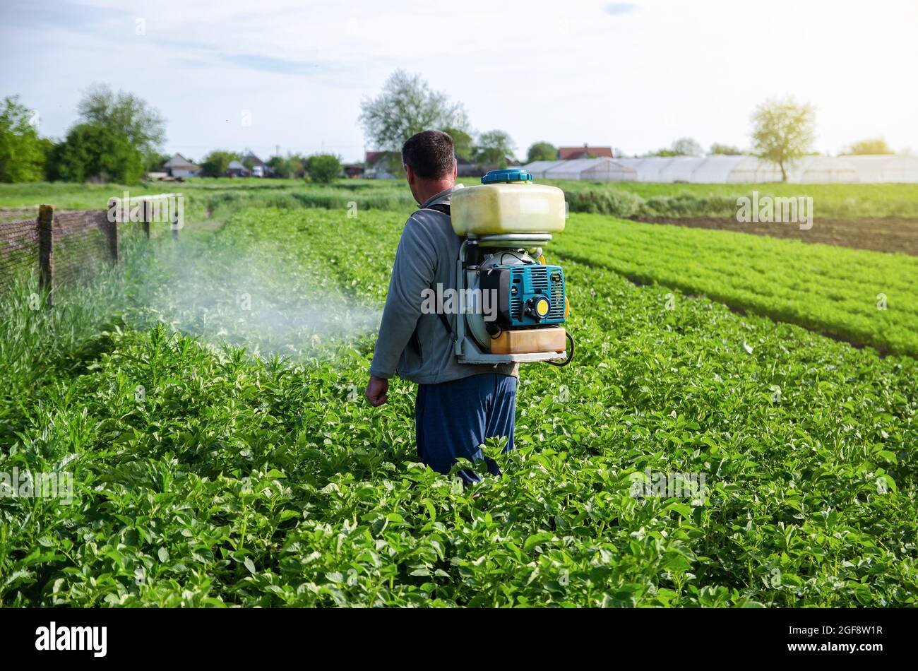 A farmer sprays pesticides on plantation. Use of chemicals for