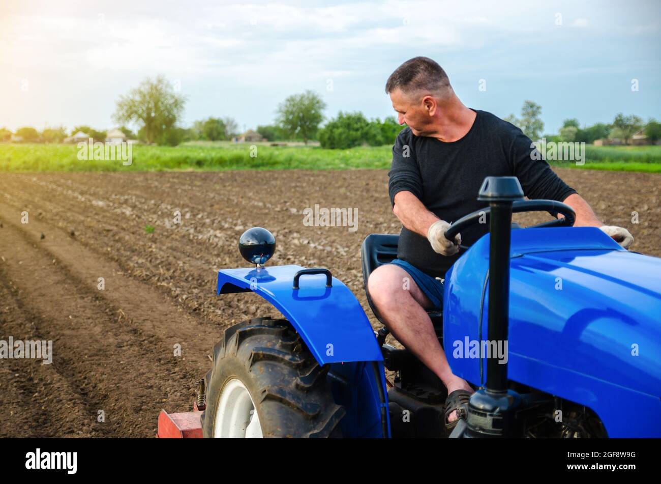 A farmer on a tractor works in the field. Freeing milling earth ground from old crops. Land cultivation. Softening of the soil and destruction of the Stock Photo