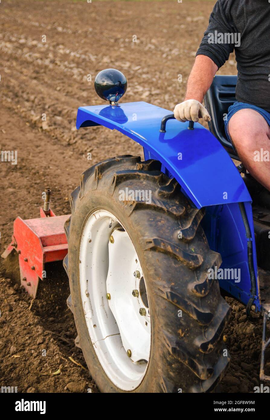 The tractor is cultivating the soil in the farm field. Loosening and mixing. Softening of the soil and destruction of the root system of the previous Stock Photo