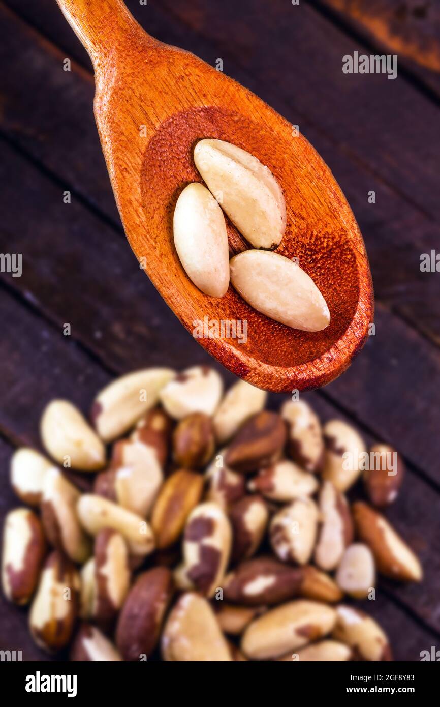 wooden spoon with many brazil nuts, us amazonian used in world cuisine Stock Photo