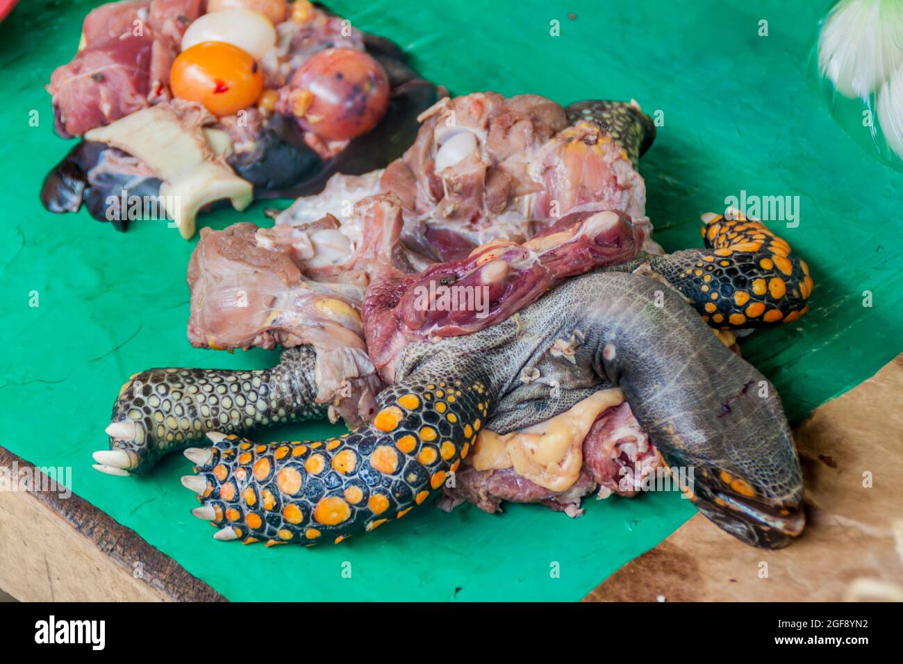 Sea Turtle Meat