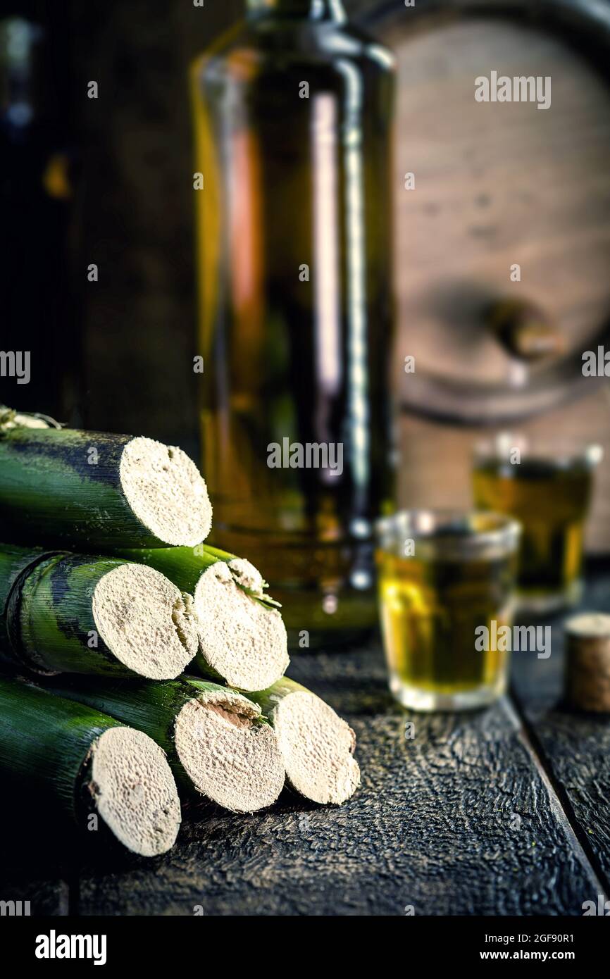 sugar cane used in distilled drinks, barrel bottom and glass with