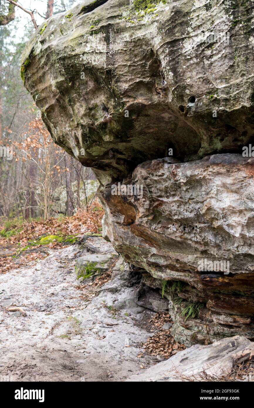 mushroom rock formation in sandstones covered with green moss in the ...