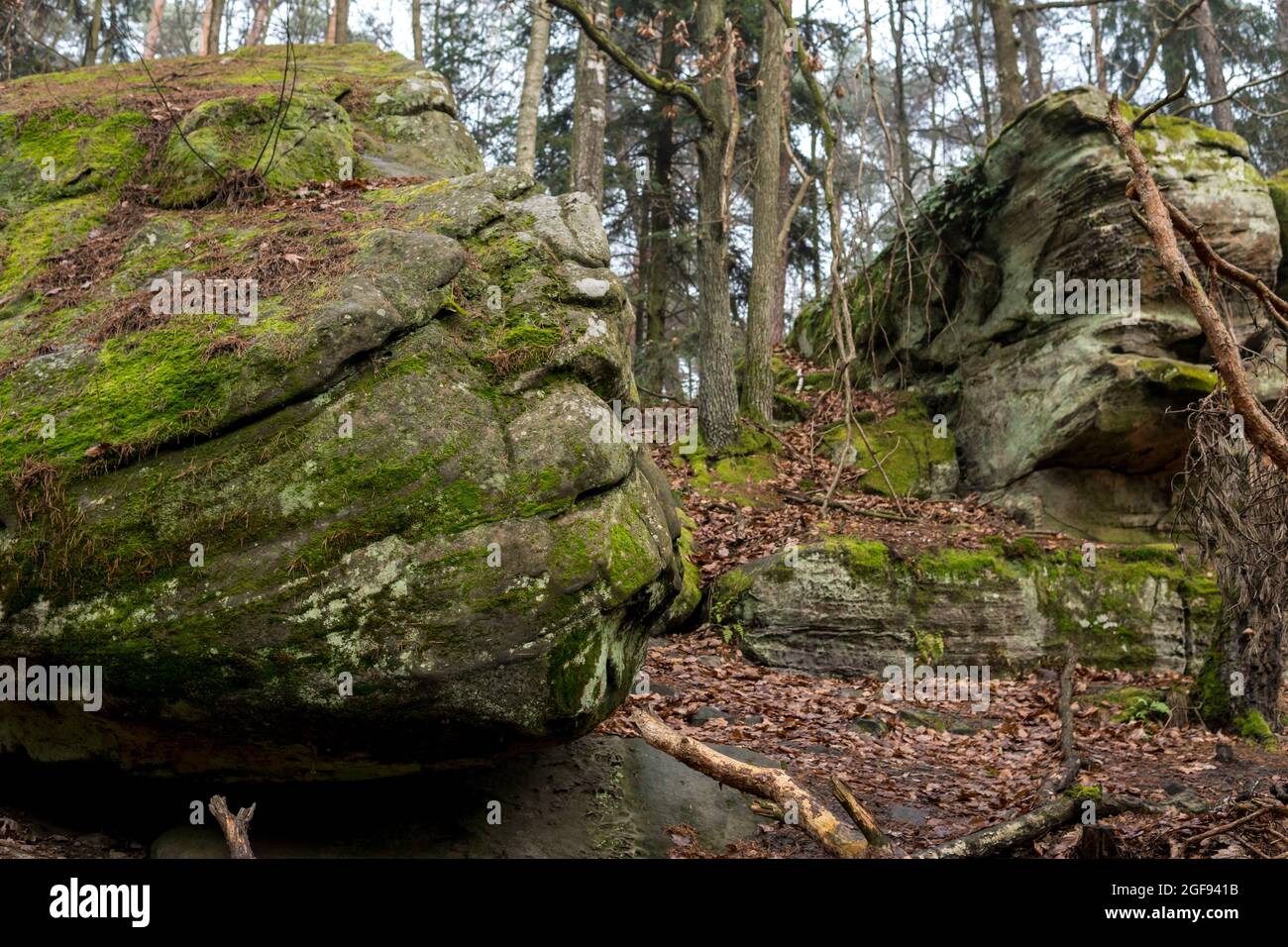 mushroom rock formation in sandstones covered with green moss in the ...