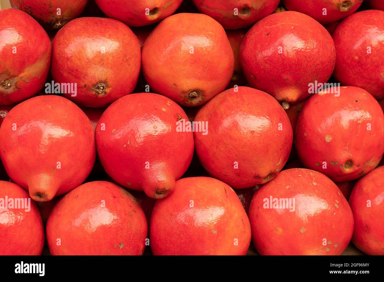 Fruits of Pomegranate, Punica granatum, family Lythraceae with juicy seeds inside. Fruits for sale at New Market area , Kolkata , West Bengal, India. Stock Photo