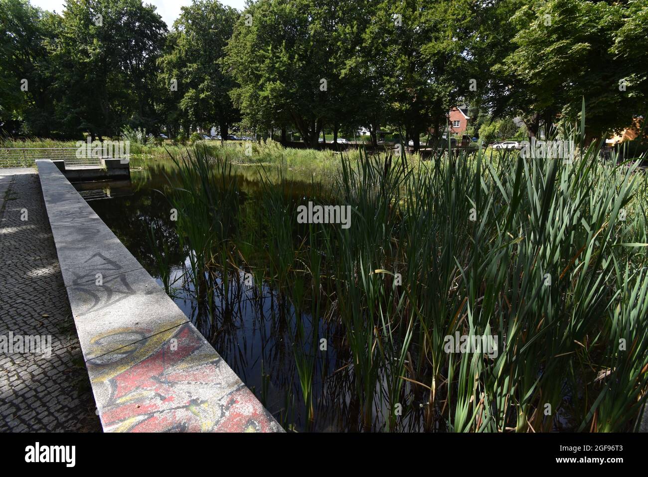 Teich im Schönower Park, BerlinZehlendorf, Germany Stock Photo Alamy